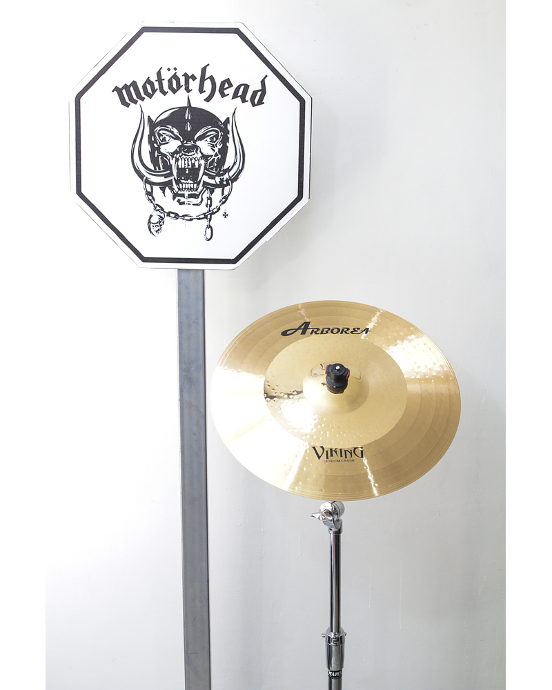 CRASH 16 VIKING ARBOREA