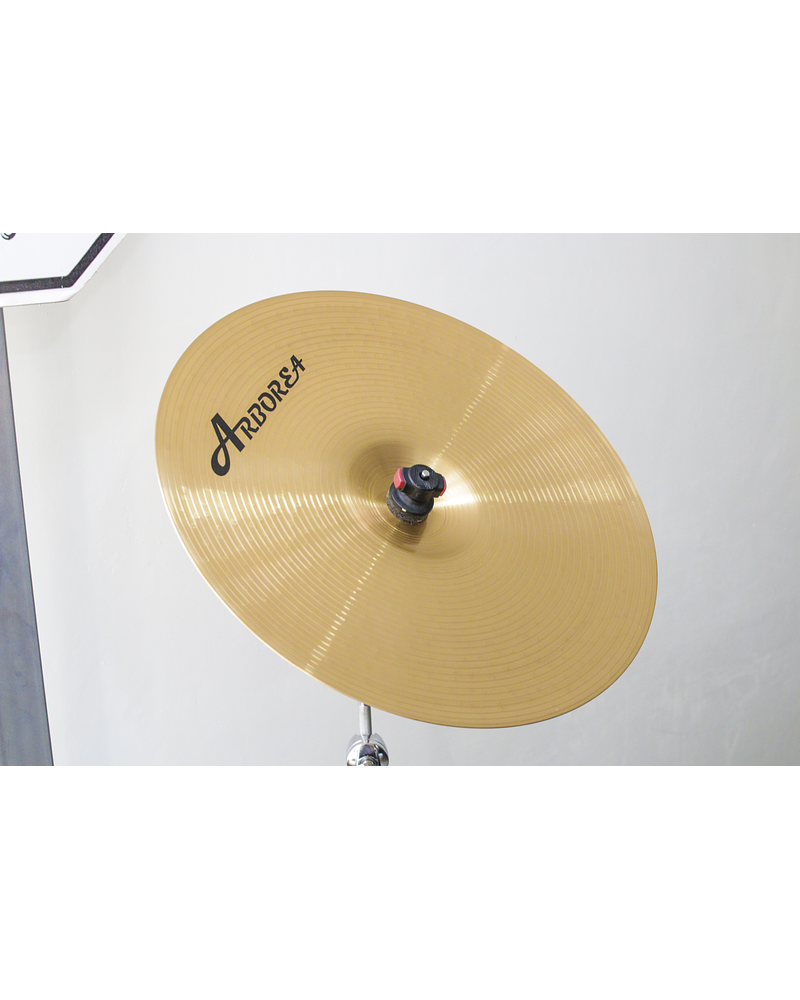 CRASH 16 VIKING ARBOREA