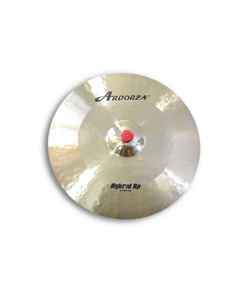 RIDE 19 HYBRID AP ARBOREA 