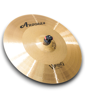 CRASH 16 VIKING ARBOREA