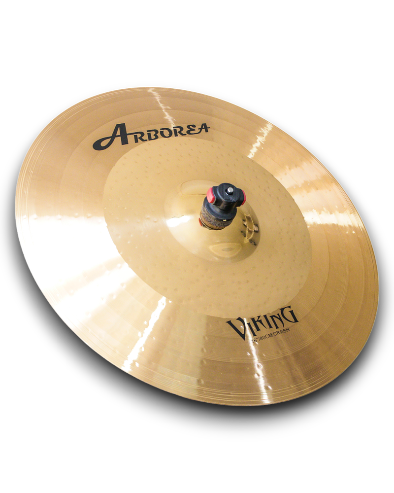 CRASH 16 VIKING ARBOREA