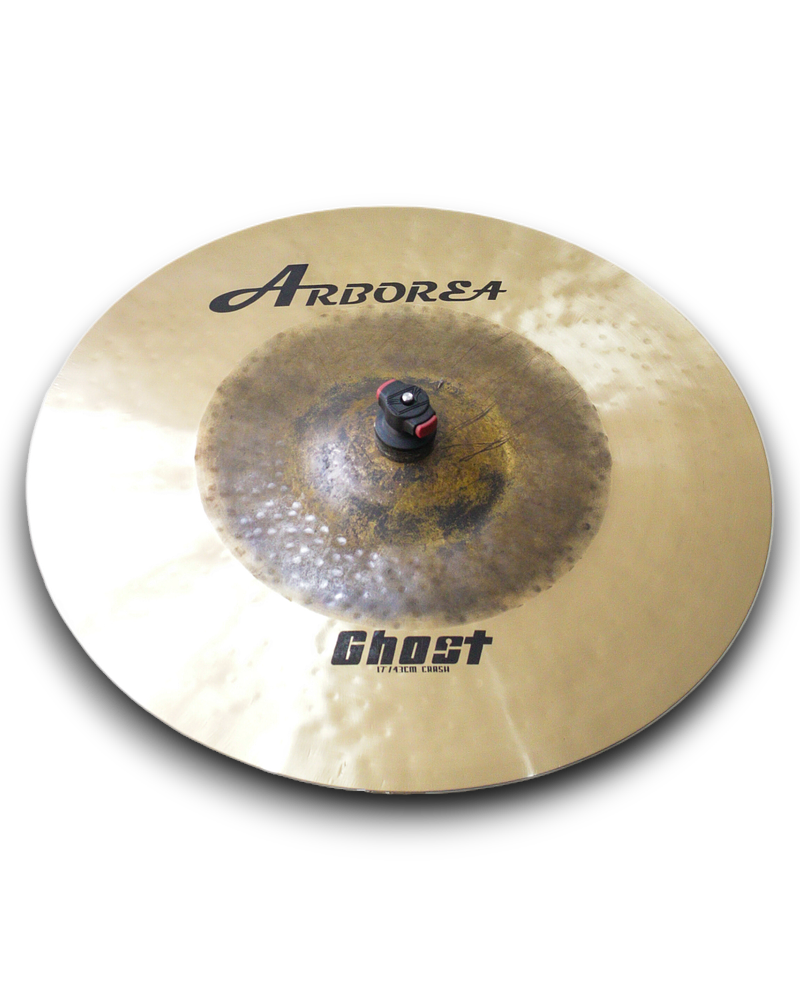 CRASH 17 GHOST ARBOREA