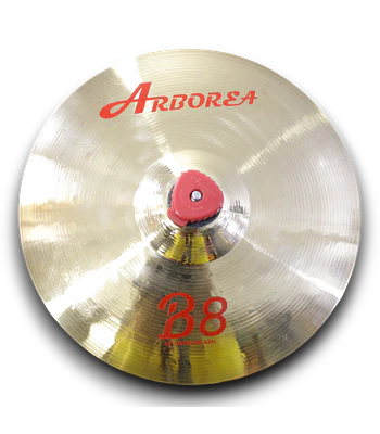 SPLASH 10 B8 ARBOREA 