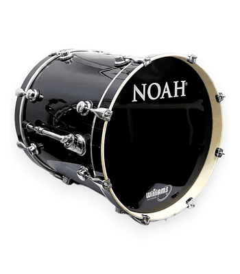 BOMBO 22X18 NEGRO NOAH DC