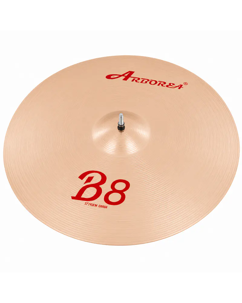 CRASH 17 B8 ARBOREA CYMBALS