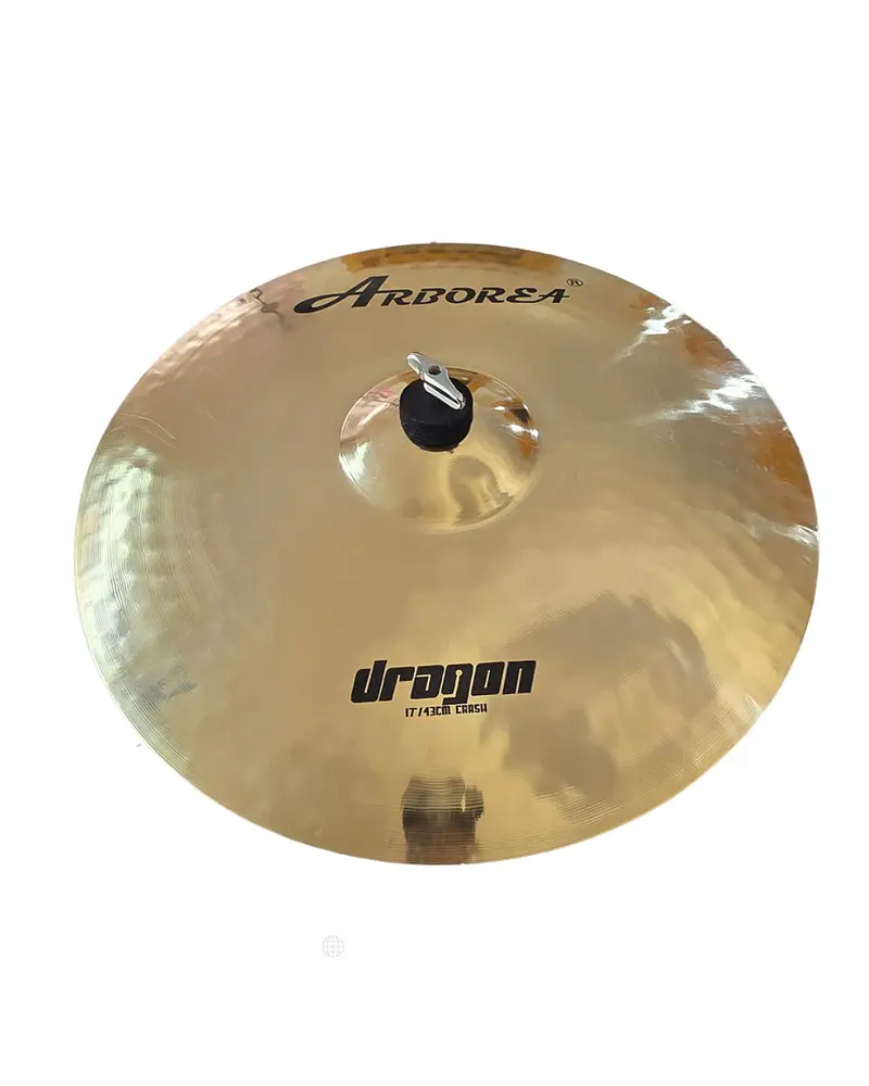CRASH 17 DRAGON USADO