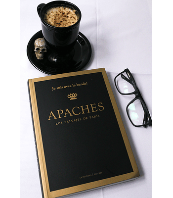 LIBRO APACHES, LOS SALVAJES DE PARIS - AA.VV