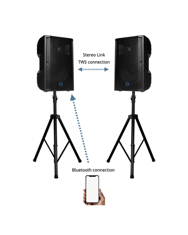 CAJA ACTIVA WHARFEDALE TOURUS AX-12 MBT - 350 WATTS