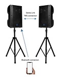 CAJA ACTIVA WHARFEDALE TOURUS AX-12 MBT - 350 WATTS