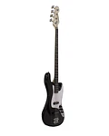 PACK BAJO ELECTRICO FREEMAN ROCKSTARTER