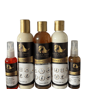 RUTINA CAPILAR COMPLETA Kit Multivitaminico EFECTO LISO X 250 ML