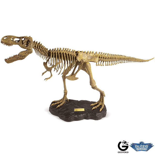 DR. STEVE PALEO EXPEDITIONS T-REX FULL SKELETON MODEL KIT