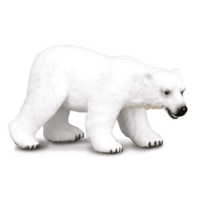 OSO POLAR