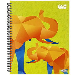 ARTEL CUADERNO UNIV. 100 HOJAS CUADRICULADAS 7MM, ELEFANTE - PRODUCTO DE VITRINA