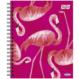 ARTEL CUADERNO UNIV. 100 HOJAS CUADRICULADAS 7MM, FLAMENCO - PRODUCTO DE VITRINA