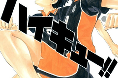 MANGA: HAIKYU 01