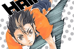 MANGA: HAIKYU 03