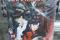 MANGA: NEON GENESIS EVANGELION 12