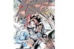 MANGA: SHAMAN KING 12