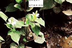 MANGA: INIO ASANO SHORT STORIES