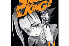 MANGA: SHAMAN KING 14