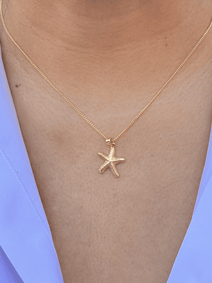 Cadena estrella mar textura