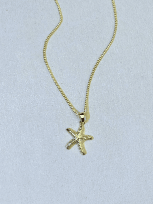 Cadena estrella mar textura