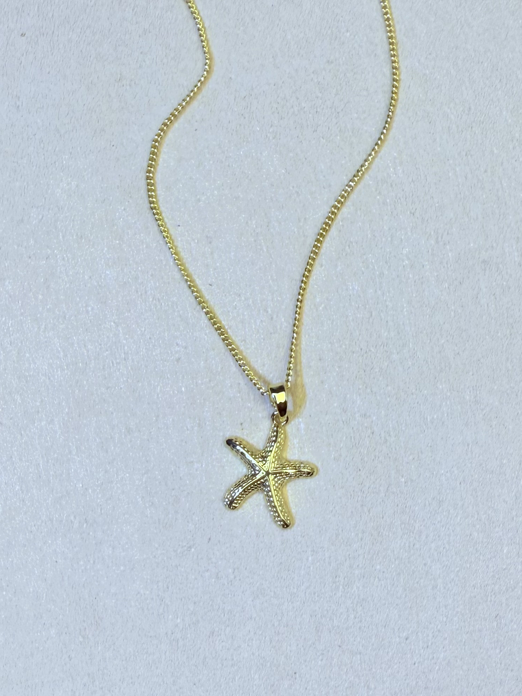 Cadena estrella mar textura 2