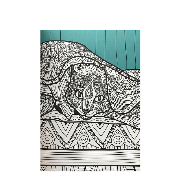 Libro Coloreando Naturaleza Viva