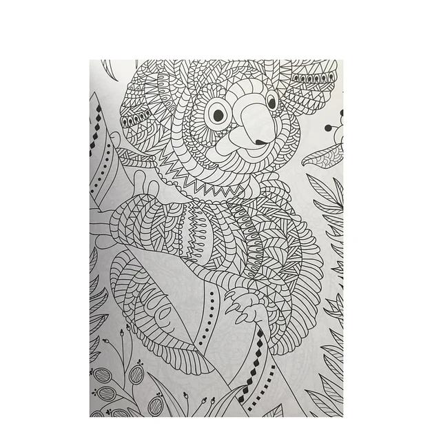 Libro Coloreando Naturaleza Viva