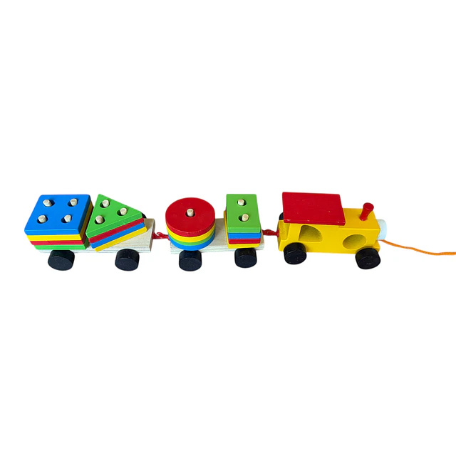 Tren de Madera con Bloques Geometricos 