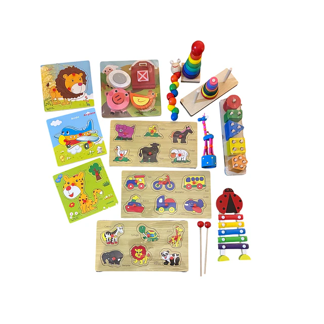 Juguetes Didacticos de Madera 13 Juegos 