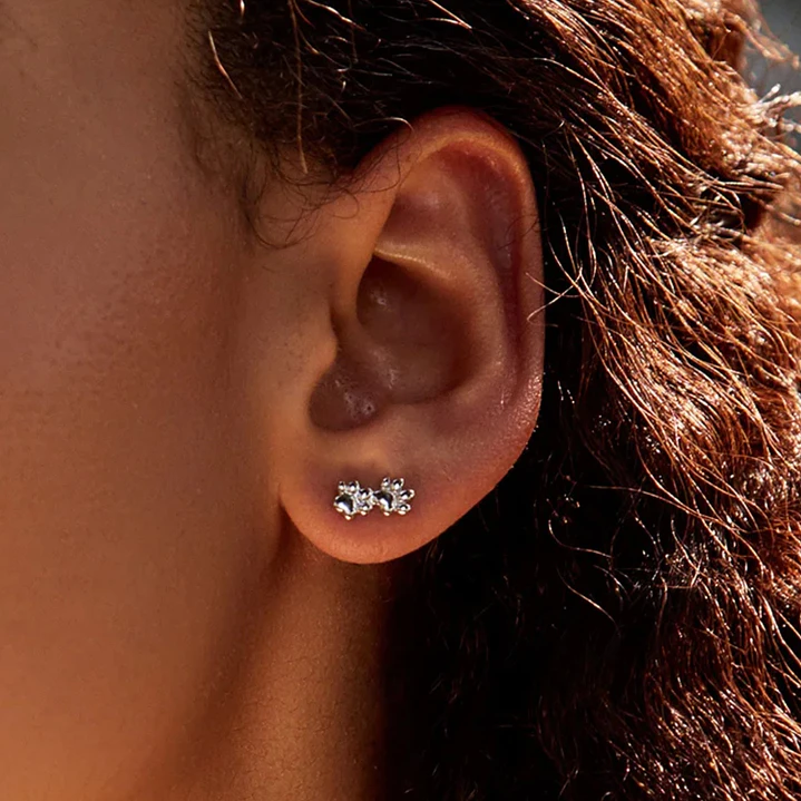 Aros Doble Huella Perrito en Plata 925 3