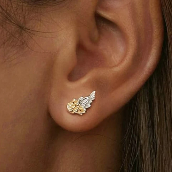 Aros Ala De Ángel en Plata 925  3