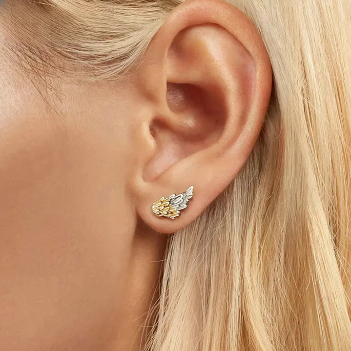 Aros Ala De Ángel en Plata 925  4