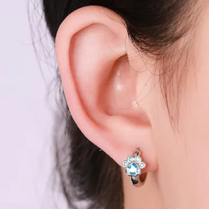 Aros Huellita de Perrito Circón Celeste en Plata 925  2