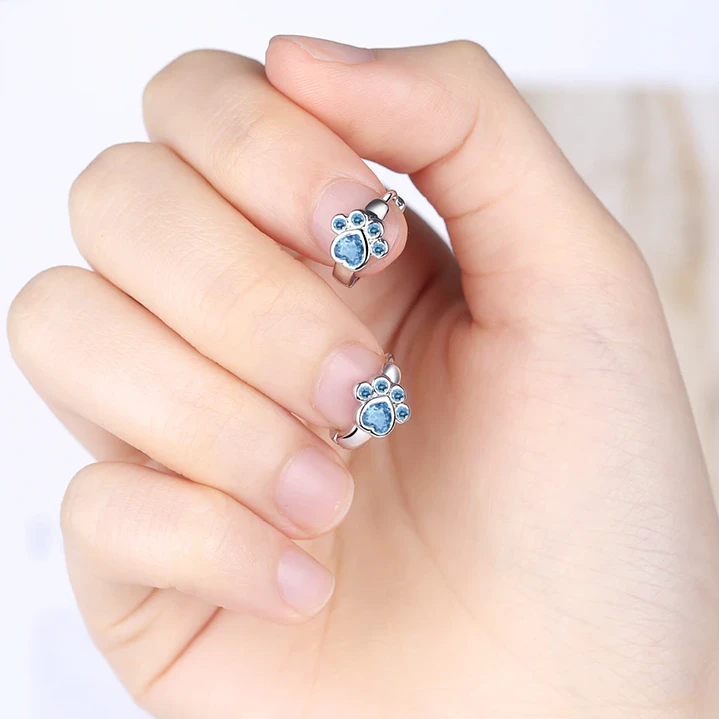 Aros Huellita de Perrito Circón Celeste en Plata 925  5