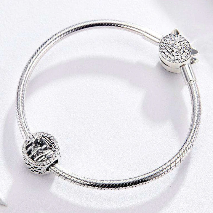 Charm Familia en Plata 925 con Circones Brillantes   2