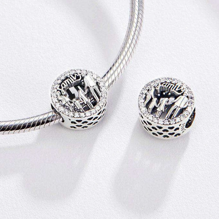 Charm Familia en Plata 925 con Circones Brillantes   4