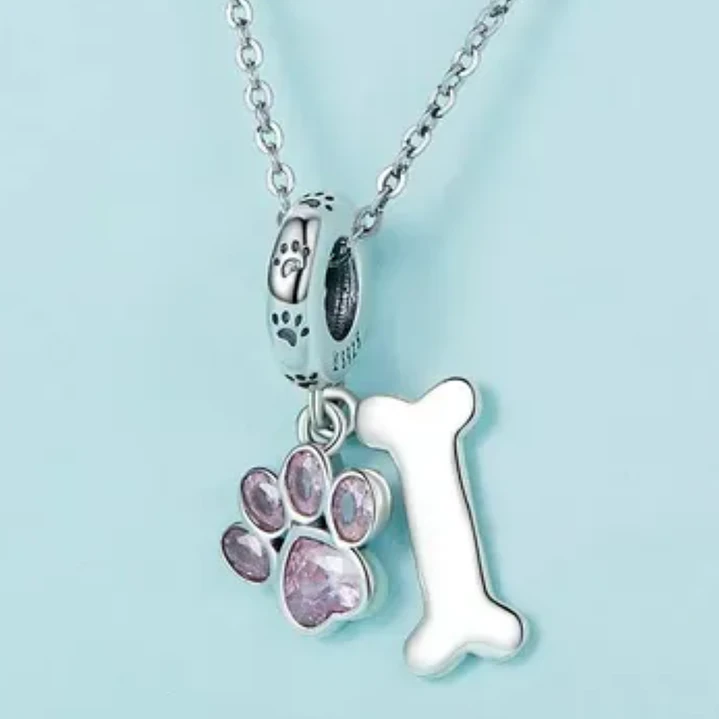 Charm Dije Perrito Huellita con Huesito en Plata 925 2