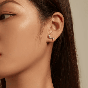 Aros Perrito Salchicha Dachshund en Plata 925 