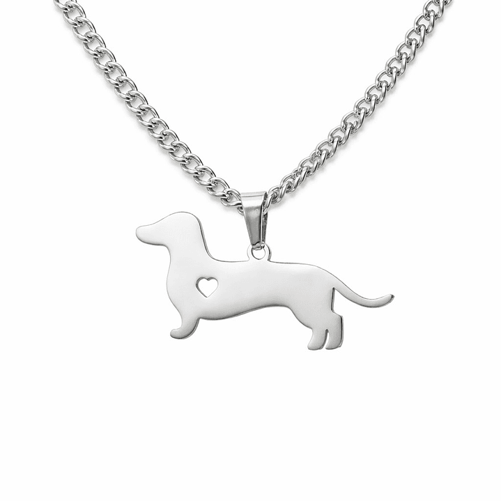 Collar Perrito Salchicha Tierno Dachshund Corazón Acero Inoxidable  1