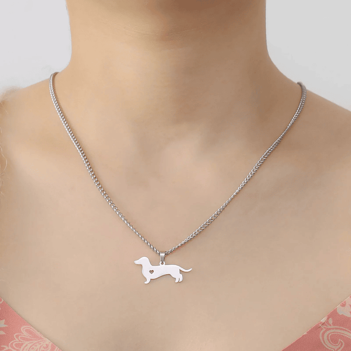 Collar Perrito Salchicha Tierno Dachshund Corazón Acero Inoxidable  2
