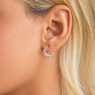 Aros Argolla Perrito Salchicha Dachshund Plata Ley 925  