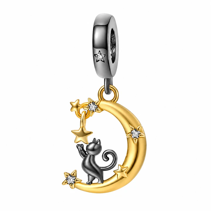 Charm Dije Gatito Luna Plata 925 1