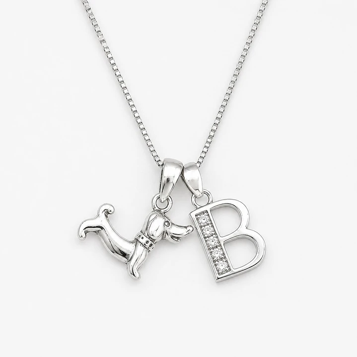 Collar Perrito Salchicha + Inicial Personalizada Plata 925 – EDICIÓN LIMITADA 4