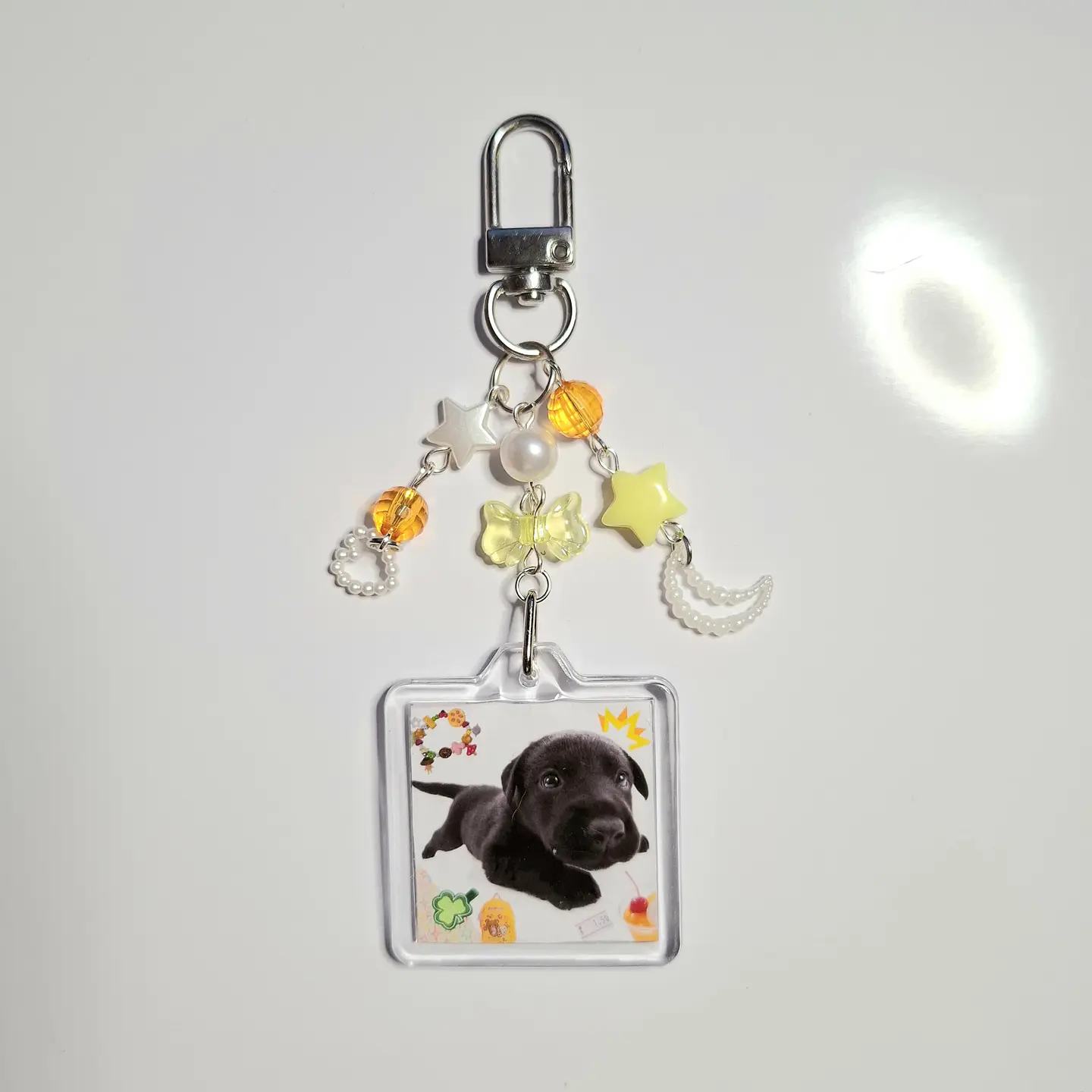 Llavero Perrito 1