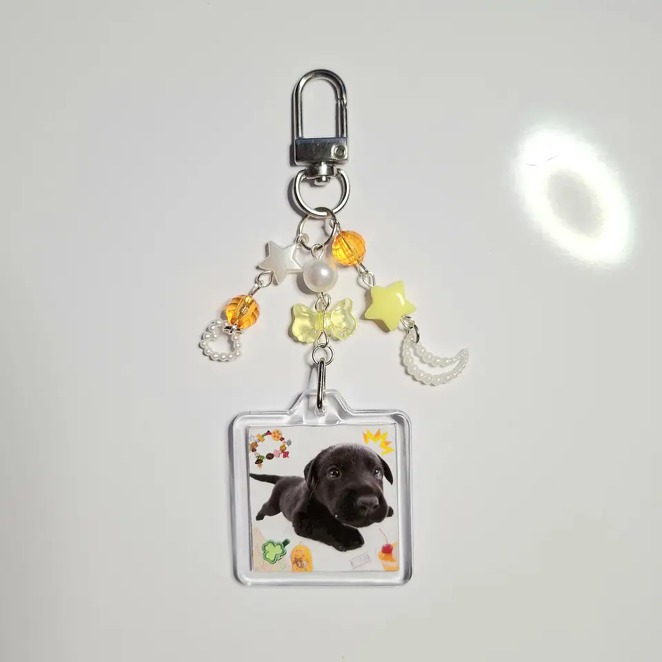 Llavero Perrito 1