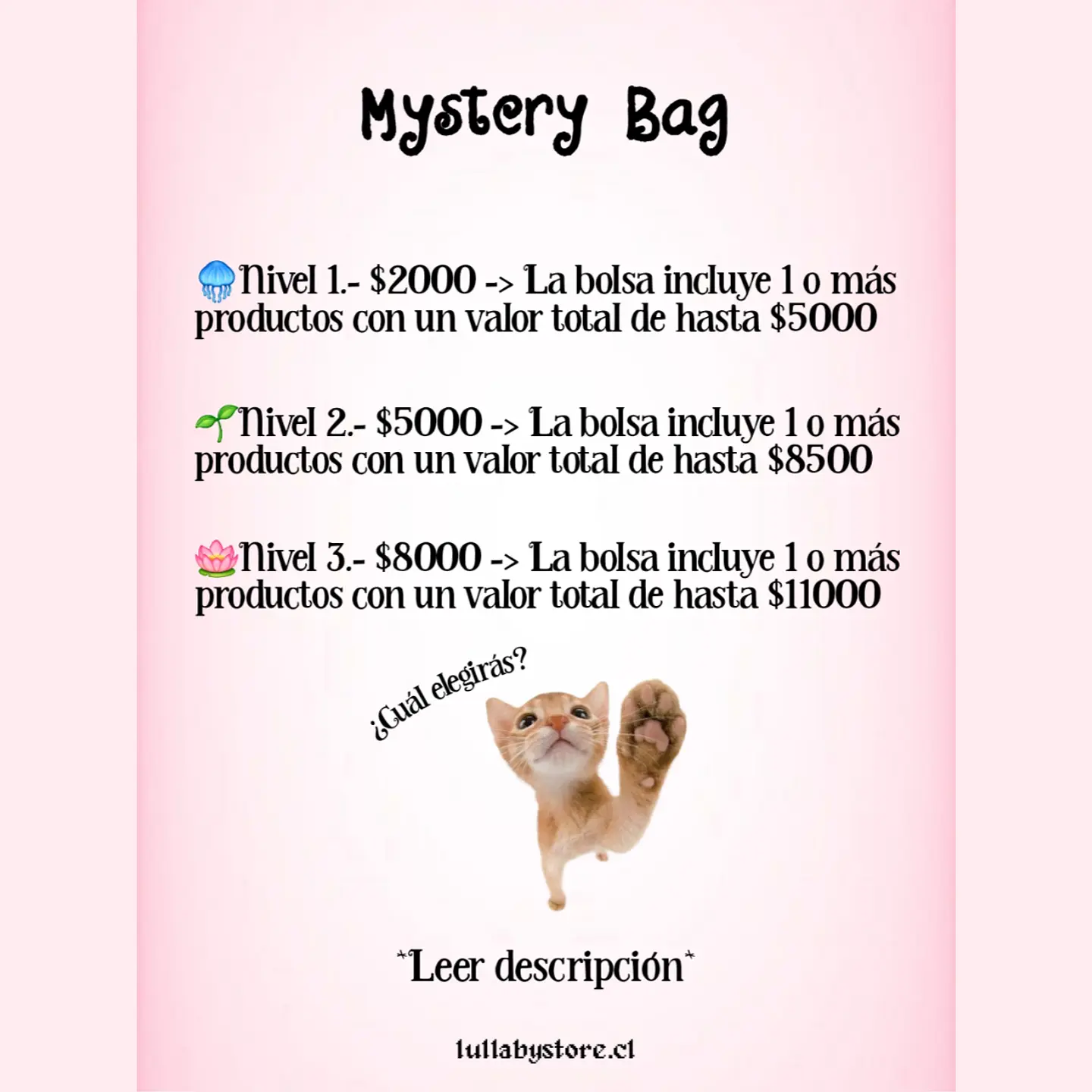 Mystery Bag / Bolsa Misteriosa Lullaby Store 2