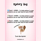 Mystery Bag / Bolsa Misteriosa Lullaby Store - Miniatura 2